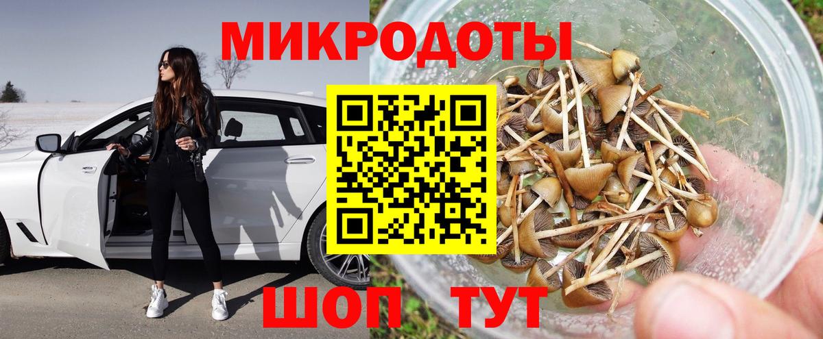 Галлюциногенные грибы Psilocybine cubensis Похвистнево
